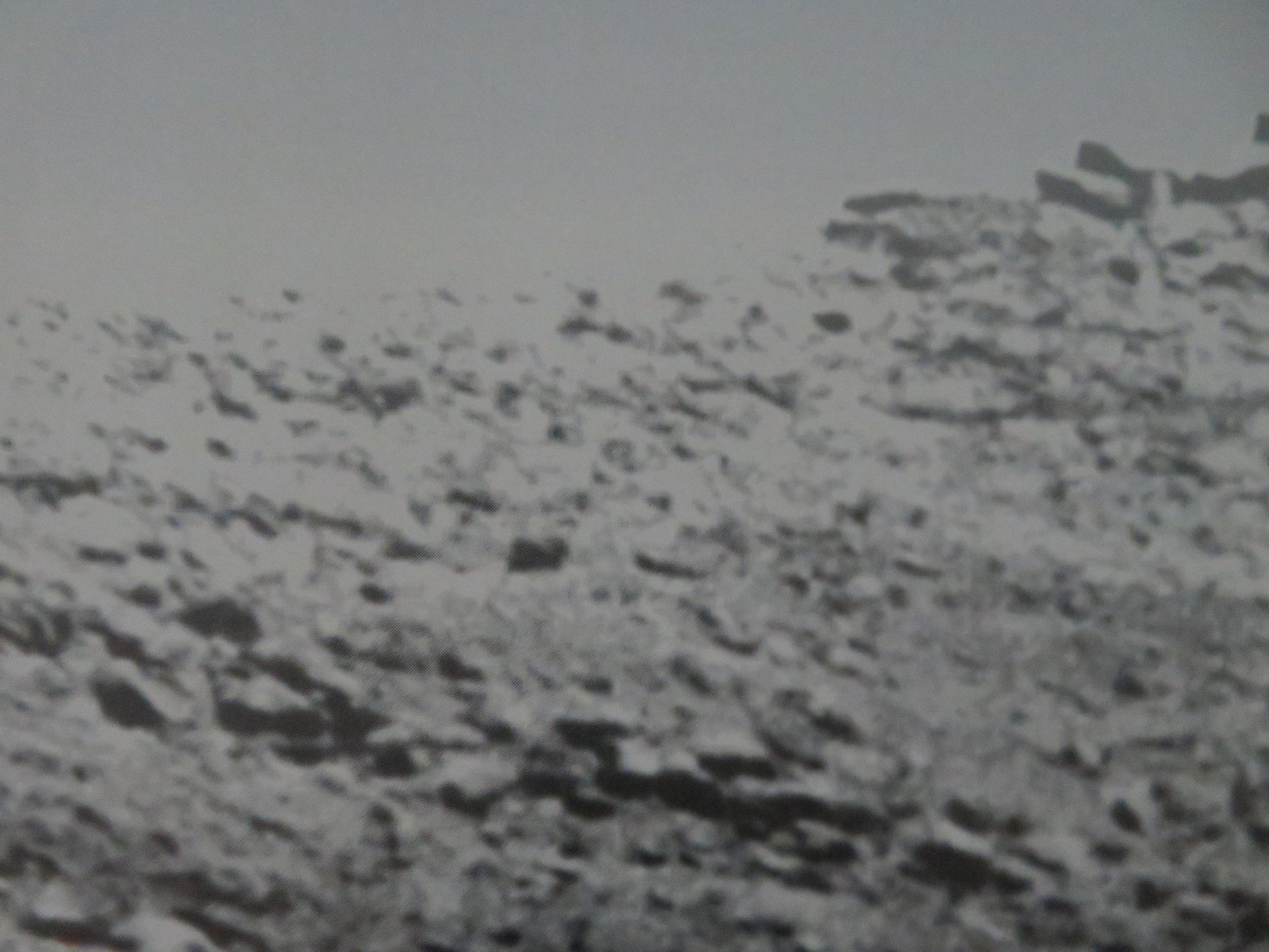 IPHIGENIE IN FREIHEIT GERMAN POSTER ROLLED VOLKER BRAUN 1992 Movie posters