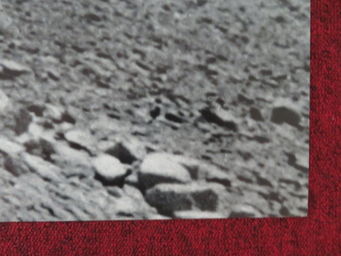 IPHIGENIE IN FREIHEIT GERMAN POSTER ROLLED VOLKER BRAUN 1992 Movie posters