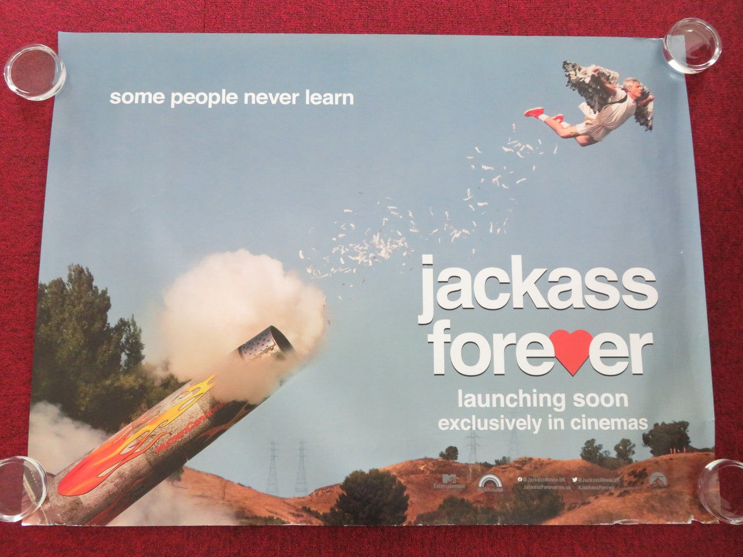 JACKASS FOREVER UK QUAD ROLLED POSTER JOHNNY KNOXVILLE STEVE - O 2022 Movie posters