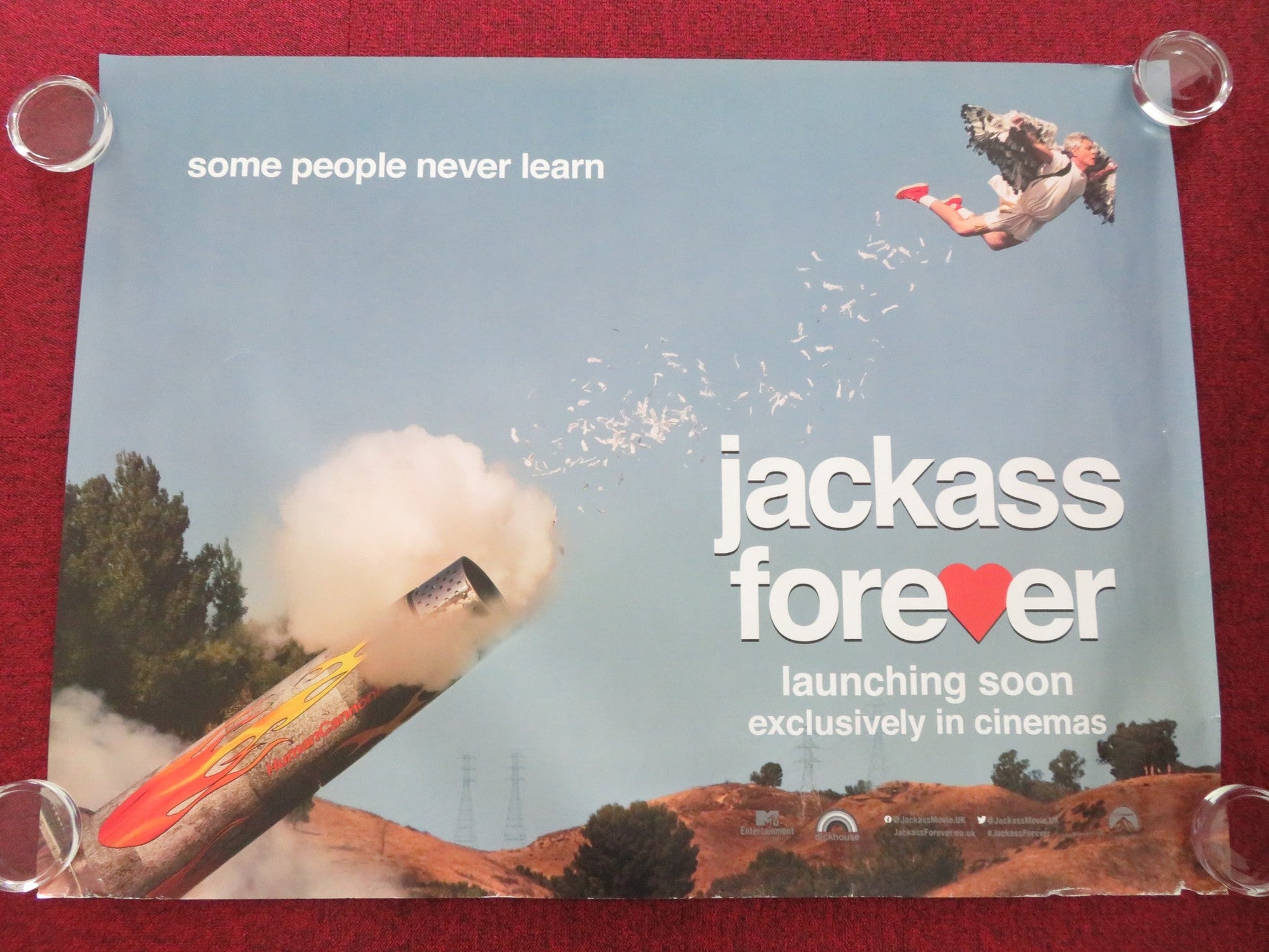 JACKASS FOREVER UK QUAD ROLLED POSTER JOHNNY KNOXVILLE STEVE - O 2022 Movie posters