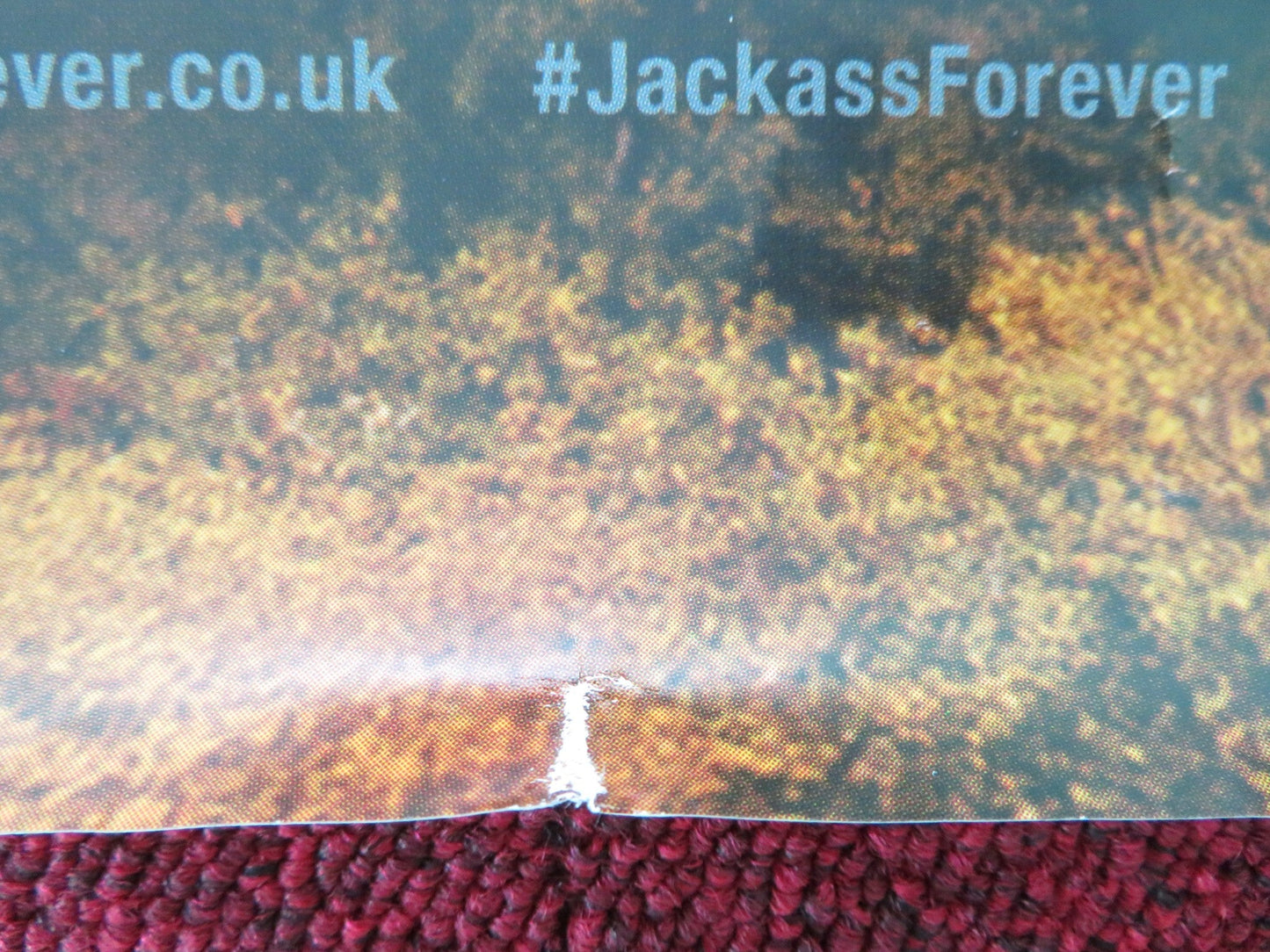 JACKASS FOREVER US ONE SHEET ROLLED POSTER JOHNNY KNOXVILLE STEVE - O 2022 Movie posters