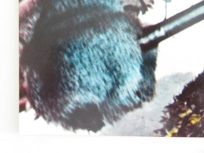 JEREMIAH JOHNSON - E ITALIAN FOTOBUSTA POSTER ROBERT REDFORD WILL GEER 1972 Movie posters