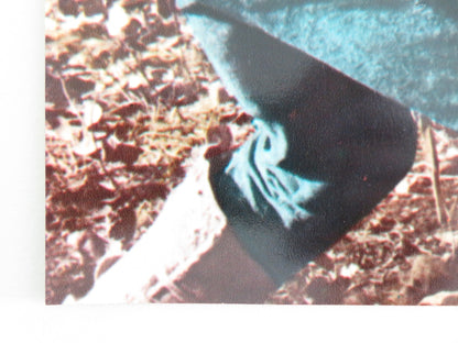 JEREMIAH JOHNSON - F ITALIAN FOTOBUSTA POSTER ROBERT REDFORD WILL GEER 1972 Movie posters