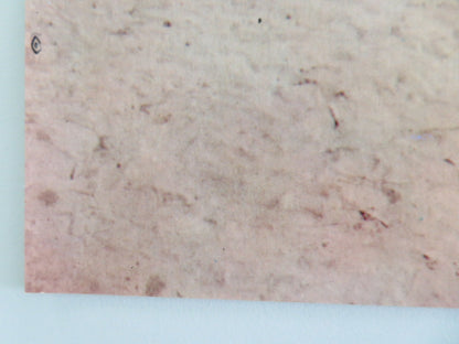 JEREMIAH JOHNSON - H ITALIAN FOTOBUSTA POSTER ROBERT REDFORD WILL GEER 1972 Movie posters