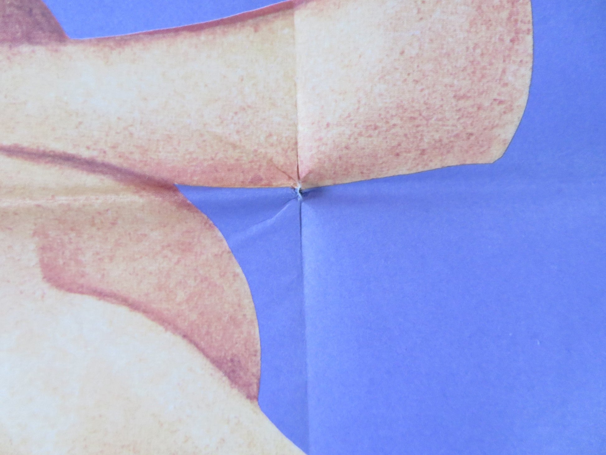 JOANNA GERMAN A1 POSTER FOLDED GENEVIEVE WAITE DONALD SUTHERLAND 1969 Rendezvous Cinema Movie posters