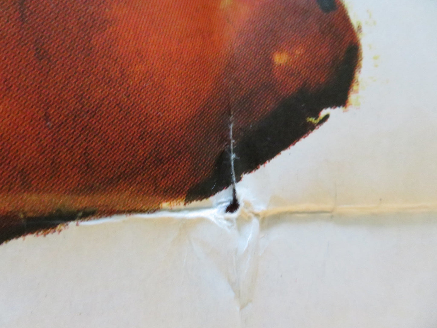 JOHNNY NOBODY FOLDED UK ONE SHEET POSTER NIGEL PATRICK YVONNE MITCHELL 1961 Movie posters