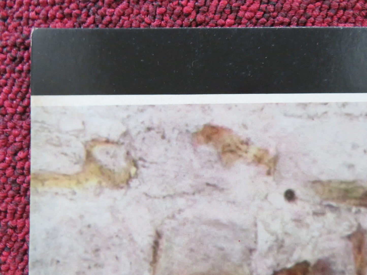 JUDITH - D ITALIAN FOTOBUSTA POSTER SOPHIA LOREN PETER FINCH 1966 Rendezvous Cinema Movie posters