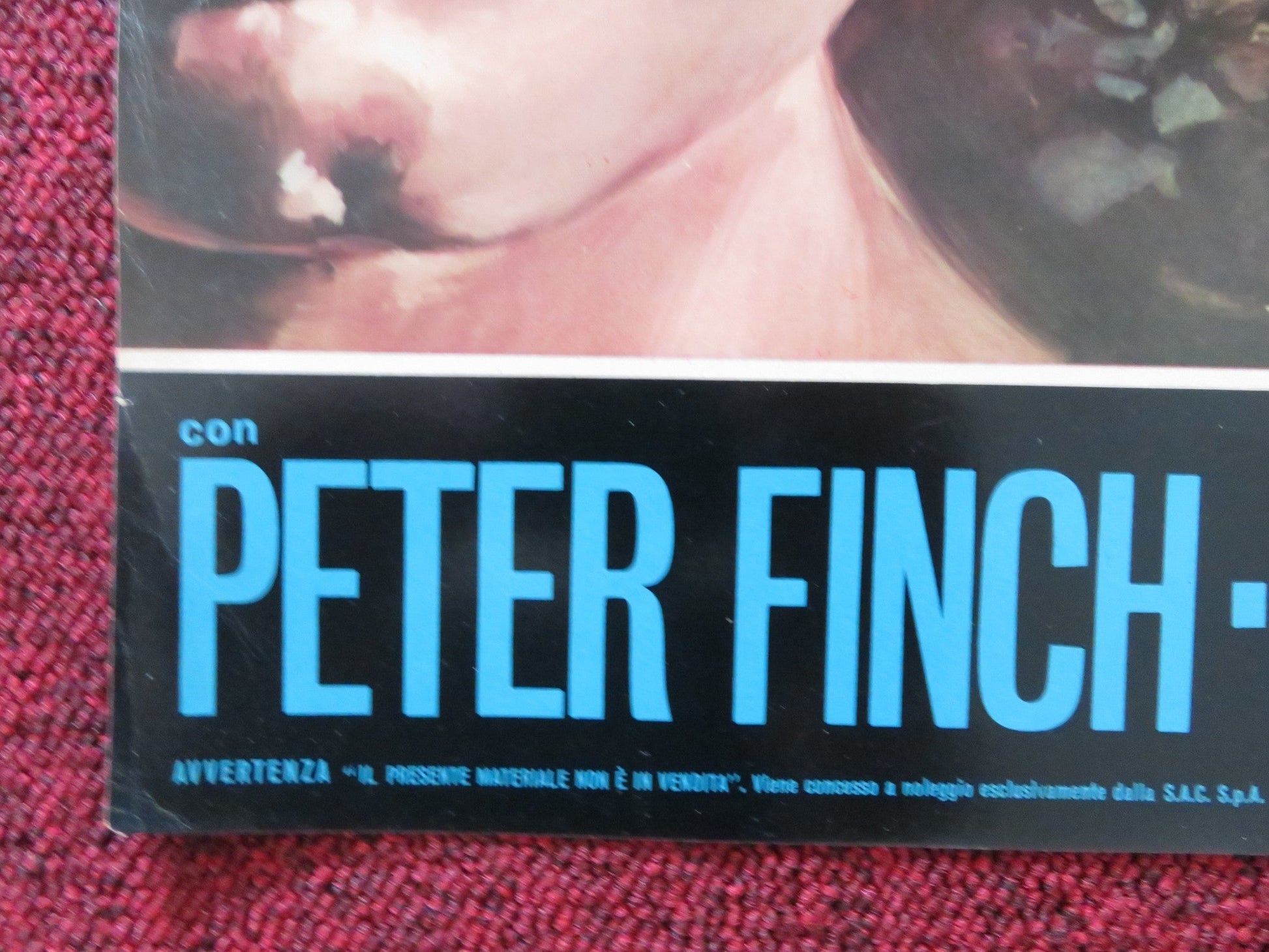 JUDITH - J ITALIAN FOTOBUSTA POSTER SOPHIA LOREN PETER FINCH 1966 Rendezvous Cinema Movie posters