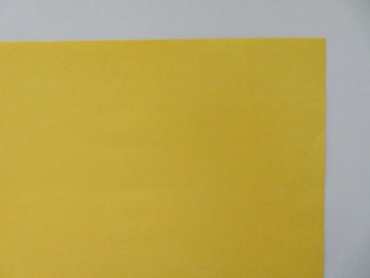 JUDITH UND DER DIKTATOR GERMAN STAGE POSTER ROLLED ARTHUR HONEGGER 1995 Movie posters