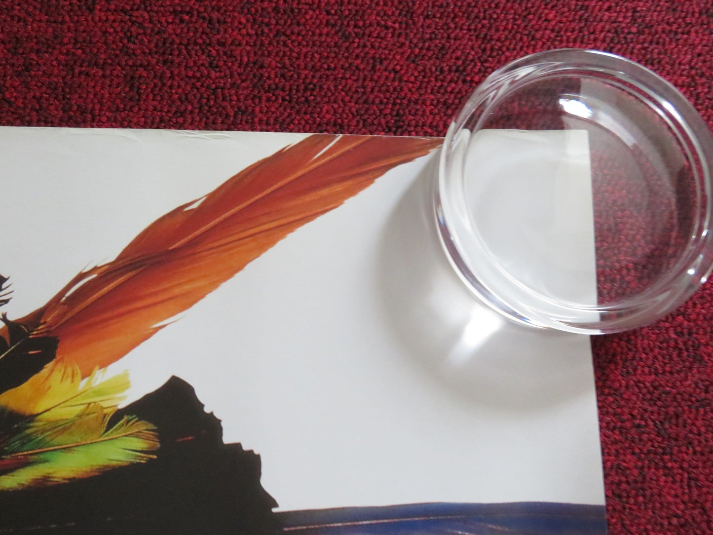 JUNGLE 2 JUNGLE UK QUAD ROLLED POSTER DISNEY TIM ALLEN MARTIN SHORT 1997 Rendezvous Cinema Movie posters