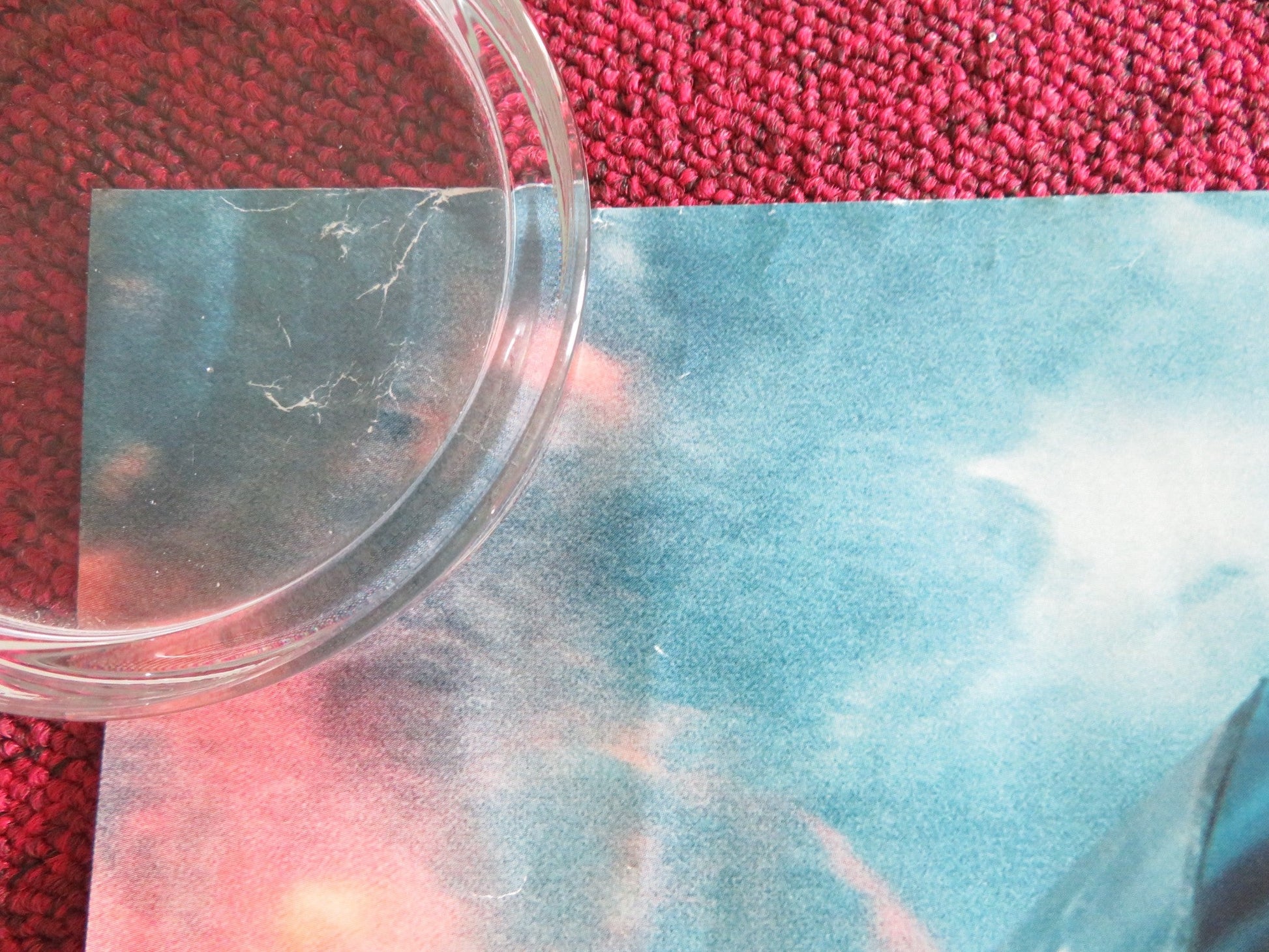 JURASSIC WORLD: FALLEN KINGDOM UK QUAD ROLLED POSTER CHRIS PRATT 2018 Rendezvous Cinema Movie posters