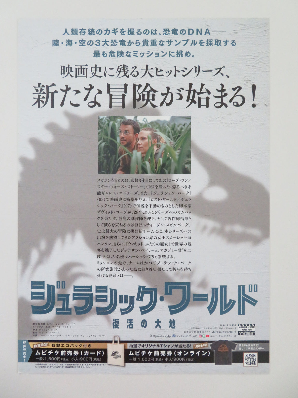 Jurassic World: Rebirth Japanese Chirashi (B5) Poster Johansson 2025 Movie posters
