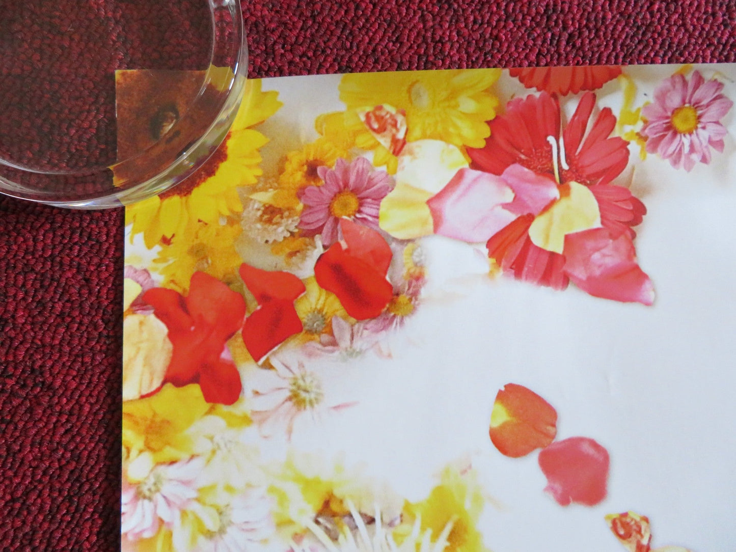 JUST LIKE HEAVEN US ONE SHEET ROLLED POSTER REESE WITHERSPOON MARK RUFFALO 2005 Rendezvous Cinema Movie posters