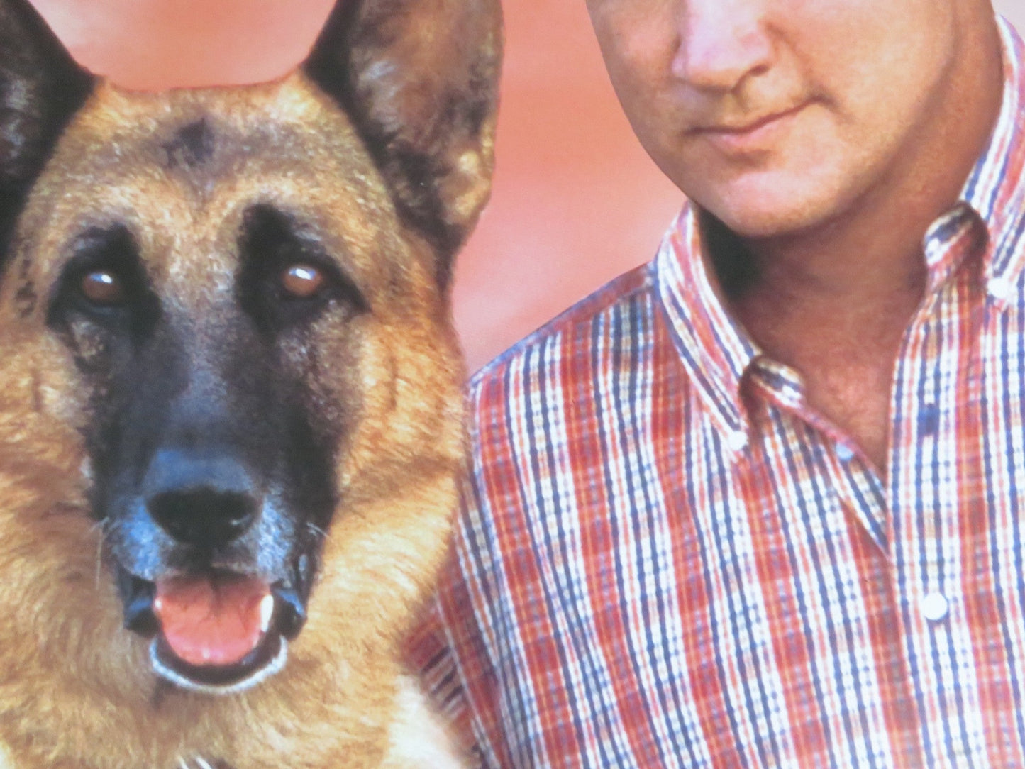 K - 911 VHS VIDEO POSTER JAMES BELUSHI CHRISTINE TUCCI 1999 Rendezvous Cinema Movie posters