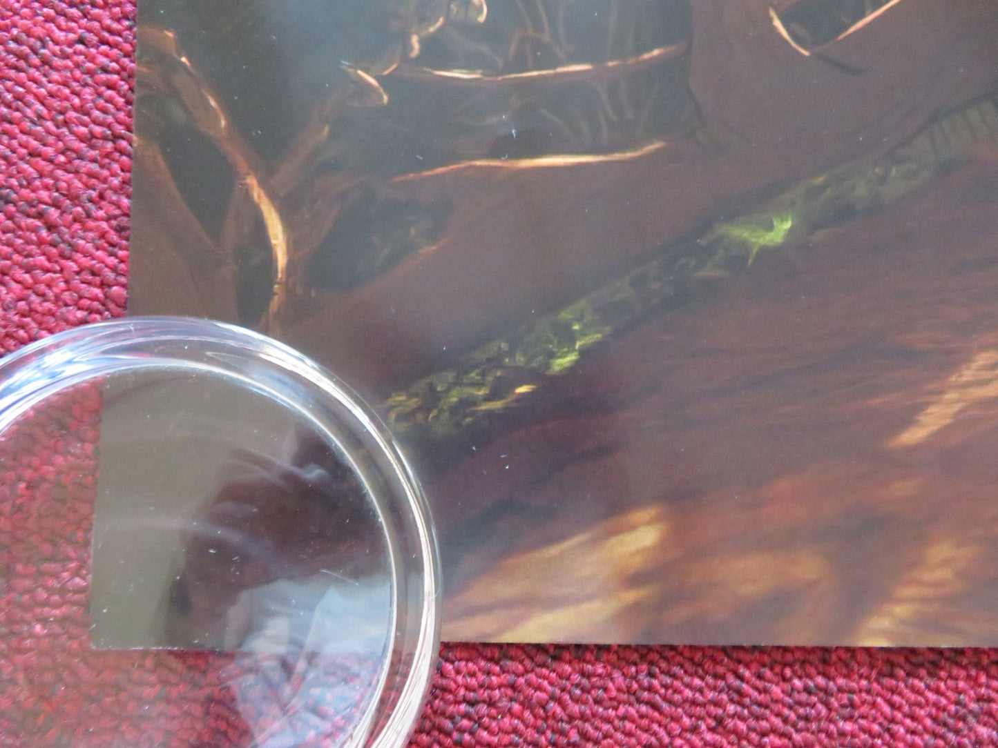 KENSUKE'S KINGDOM UK QUAD ROLLED POSTER CILLIAN MURPHY SALLY HAWKINS 2023 Rendezvous Cinema Movie posters