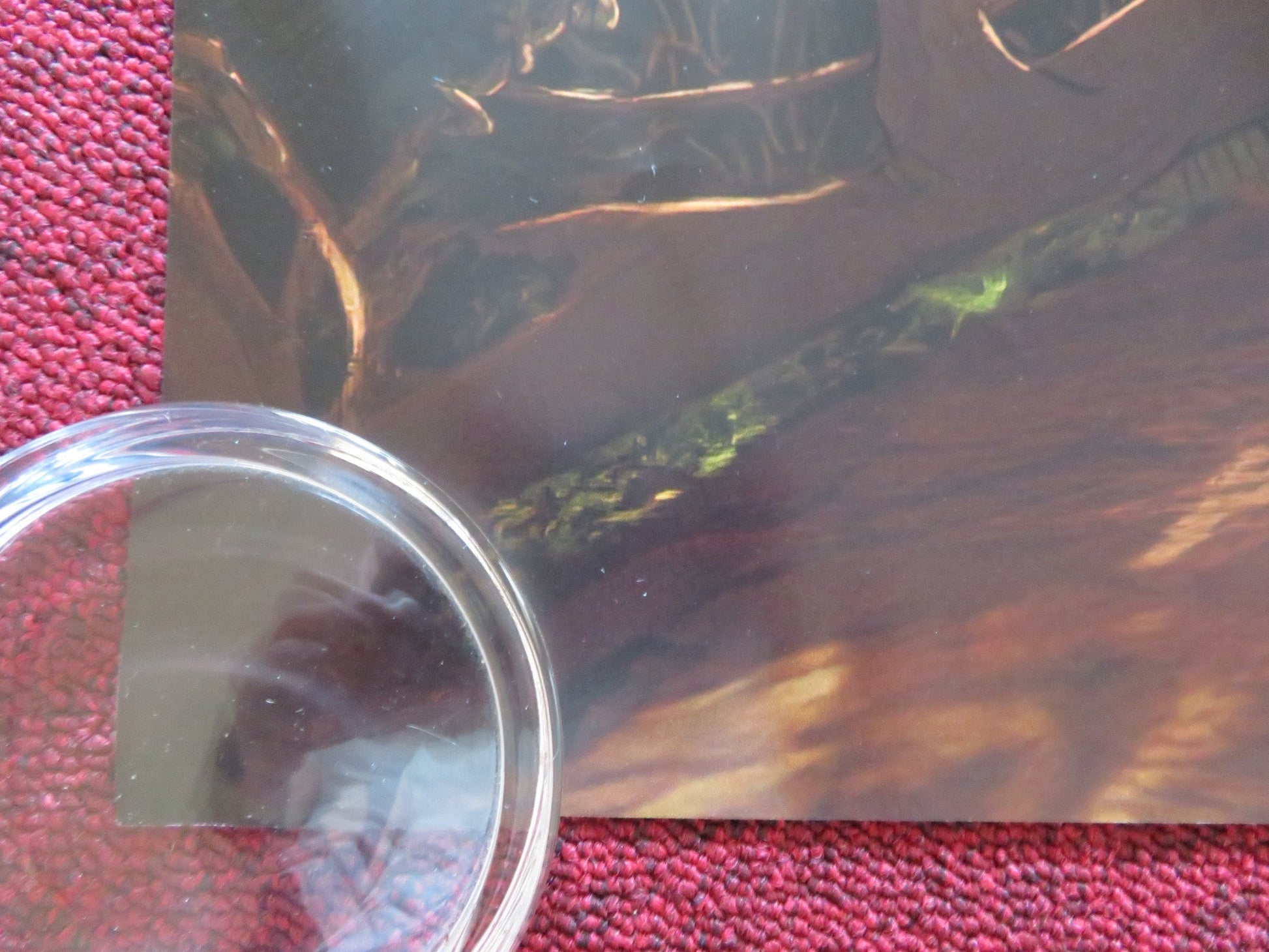 KENSUKE'S KINGDOM UK QUAD ROLLED POSTER CILLIAN MURPHY SALLY HAWKINS 2023 Rendezvous Cinema Movie posters