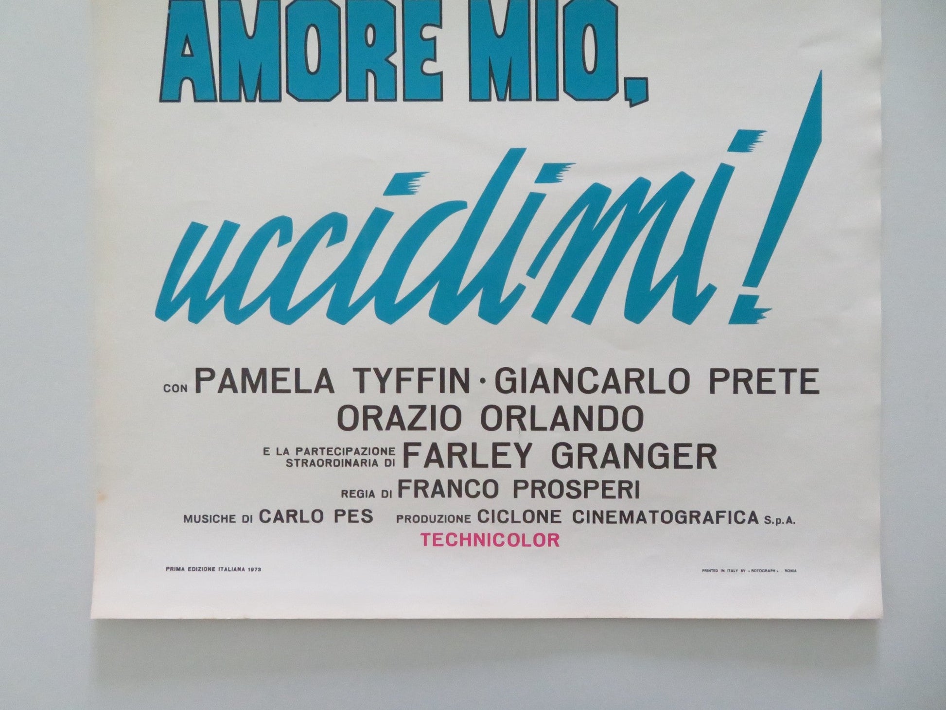KILL ME, MY LOVE! ITALIAN LOCANDINA POSTER PAMELA TIFFIN FARLEY GRANGER 1973 Movie posters