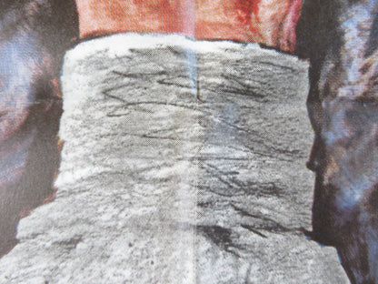 KILL OR BE KILLED GERMAN A1 POSTER FOLDED ROBERT MARK ELINA DE WITT 1967 Rendezvous Cinema Movie posters