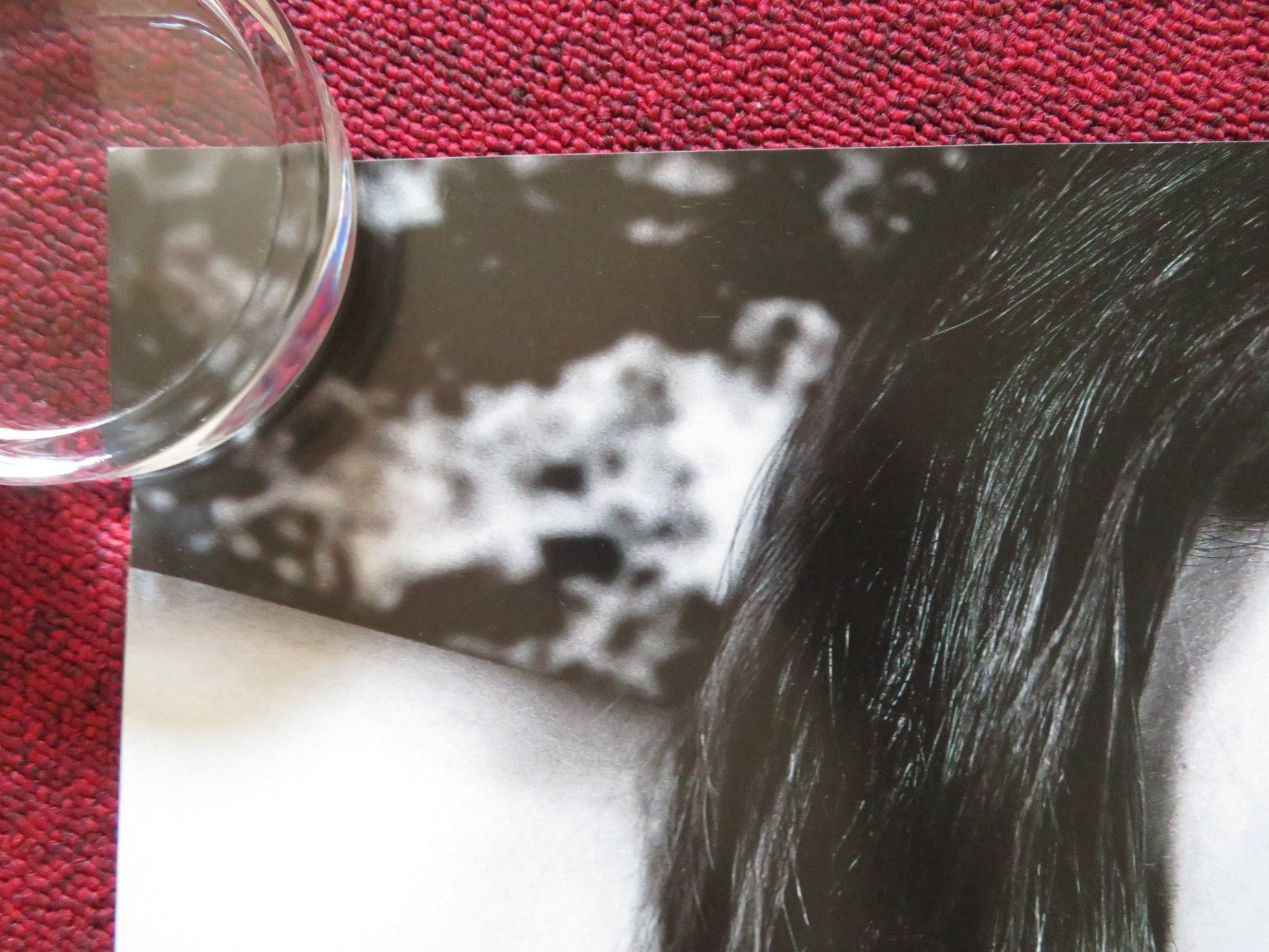 KILLING BONO UK QUAD ROLLED POSTER BEN BARNES RALPH BROWN 2011 Rendezvous Cinema Movie posters