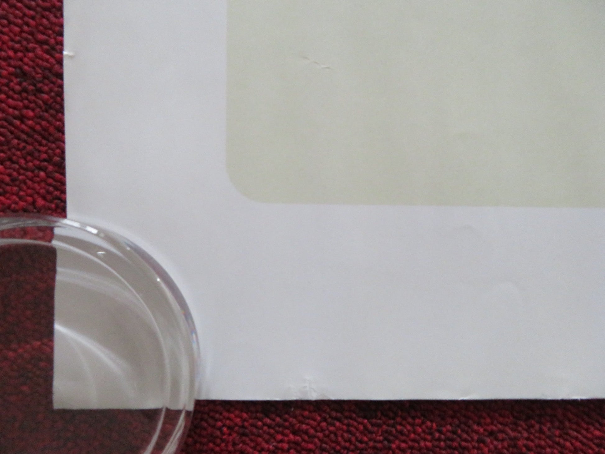 KING RICHARD - B UK QUAD ROLLED POSTER WILL SMITH SANIYYA SIDNEY 2021 Rendezvous Cinema Movie posters