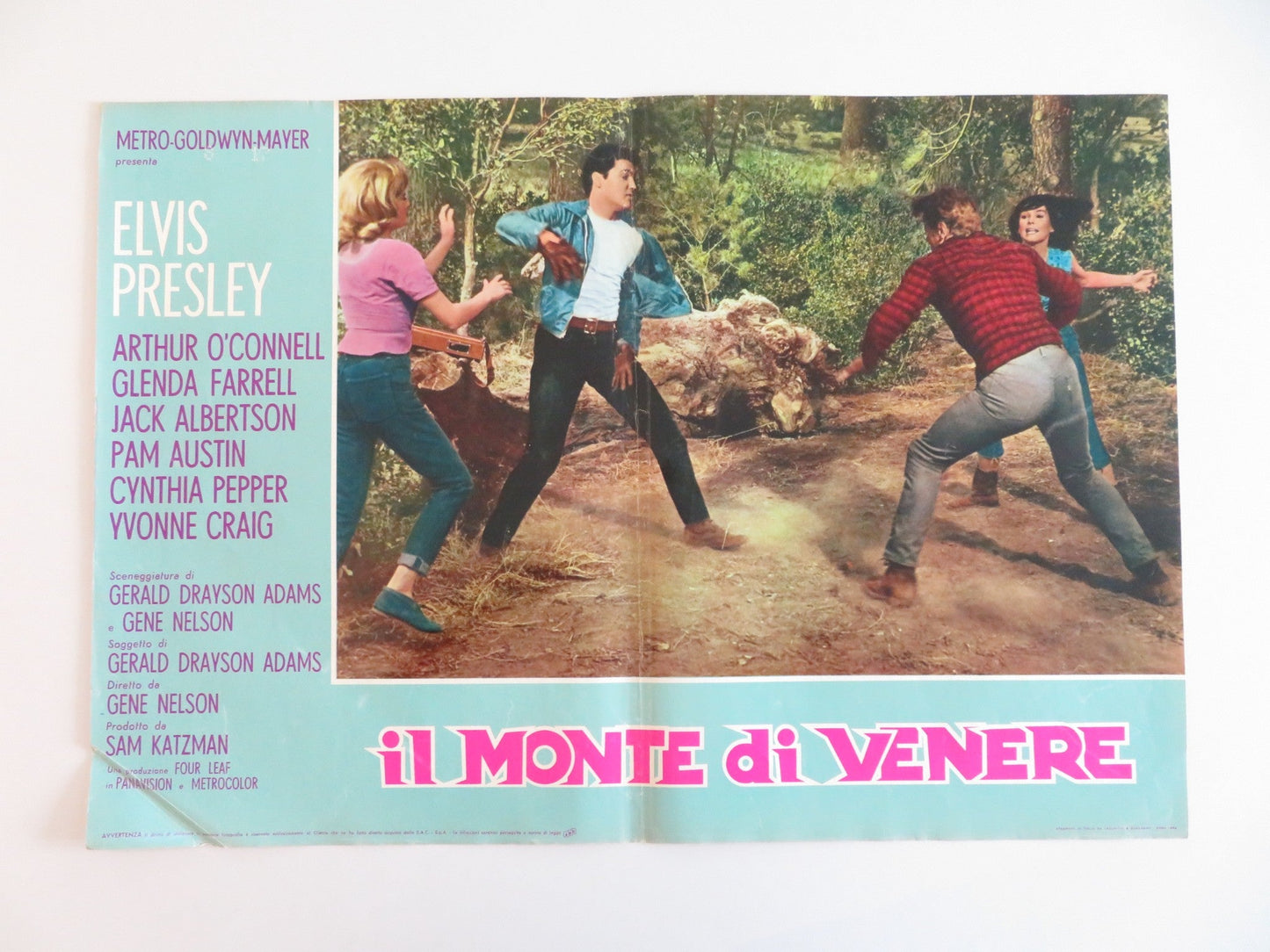 KISSIN' COUSINS - A ITALIAN FOTOBUSTA POSTER ELVIS PRESLEY ARTHUR O'CONNELL 1964 Rendezvous Cinema Movie posters