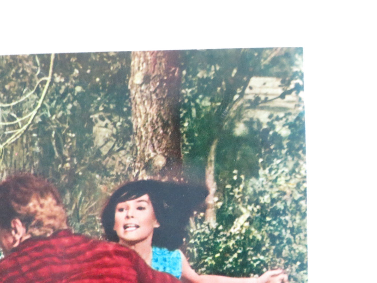 KISSIN' COUSINS - A ITALIAN FOTOBUSTA POSTER ELVIS PRESLEY ARTHUR O'CONNELL 1964 Rendezvous Cinema Movie posters