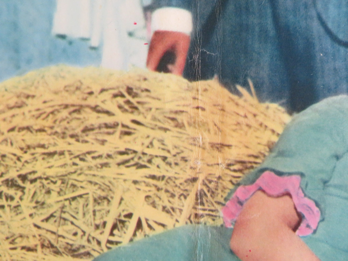 KISSIN' COUSINS - B ITALIAN FOTOBUSTA POSTER ELVIS PRESLEY ARTHUR O'CONNELL 1964 Rendezvous Cinema Movie posters