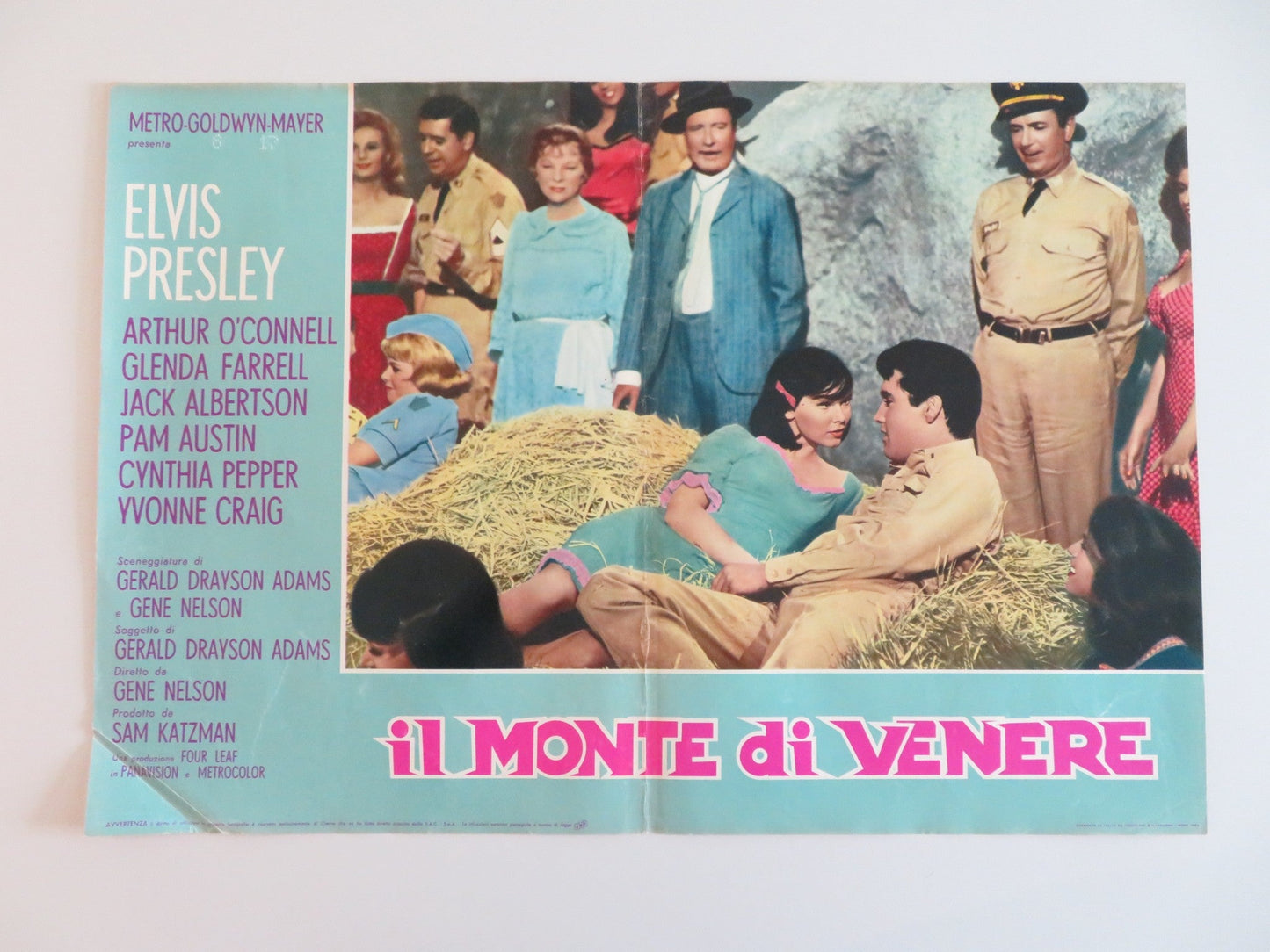 KISSIN' COUSINS - B ITALIAN FOTOBUSTA POSTER ELVIS PRESLEY ARTHUR O'CONNELL 1964 Rendezvous Cinema Movie posters
