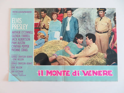 KISSIN' COUSINS - B ITALIAN FOTOBUSTA POSTER ELVIS PRESLEY ARTHUR O'CONNELL 1964 Rendezvous Cinema Movie posters