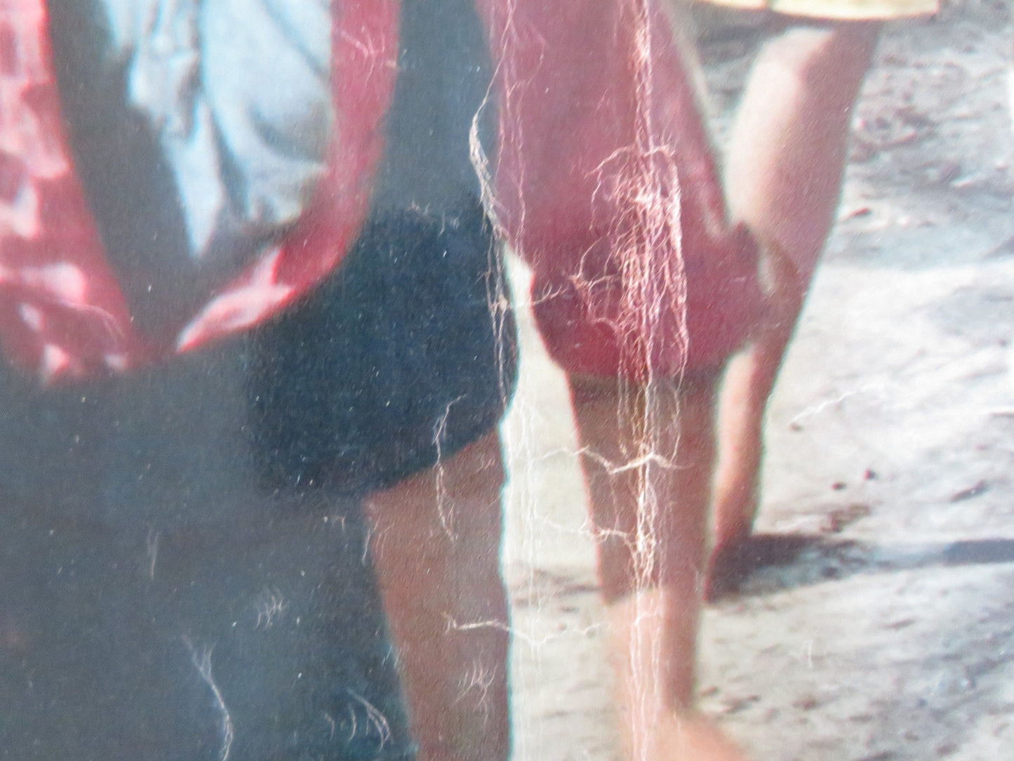 KISSIN' COUSINS - C ITALIAN FOTOBUSTA POSTER ELVIS PRESLEY ARTHUR O'CONNELL 1964 Rendezvous Cinema Movie posters