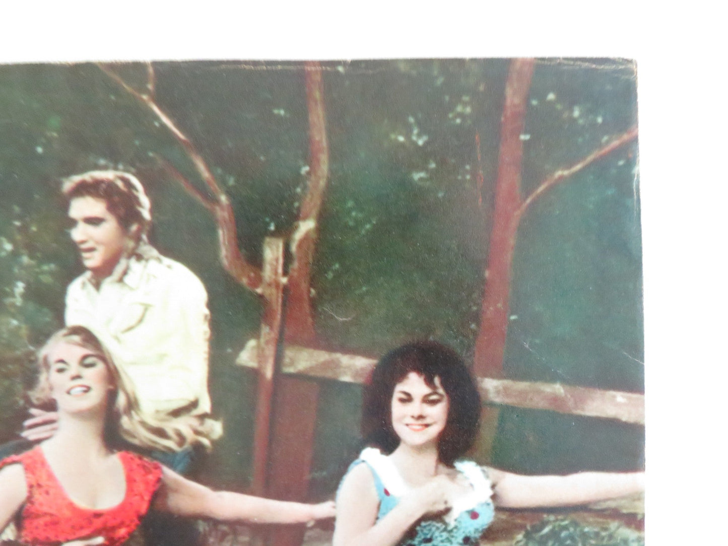 KISSIN' COUSINS - C ITALIAN FOTOBUSTA POSTER ELVIS PRESLEY ARTHUR O'CONNELL 1964 Rendezvous Cinema Movie posters