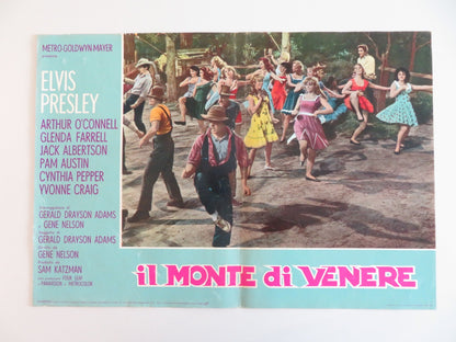 KISSIN' COUSINS - C ITALIAN FOTOBUSTA POSTER ELVIS PRESLEY ARTHUR O'CONNELL 1964 Rendezvous Cinema Movie posters