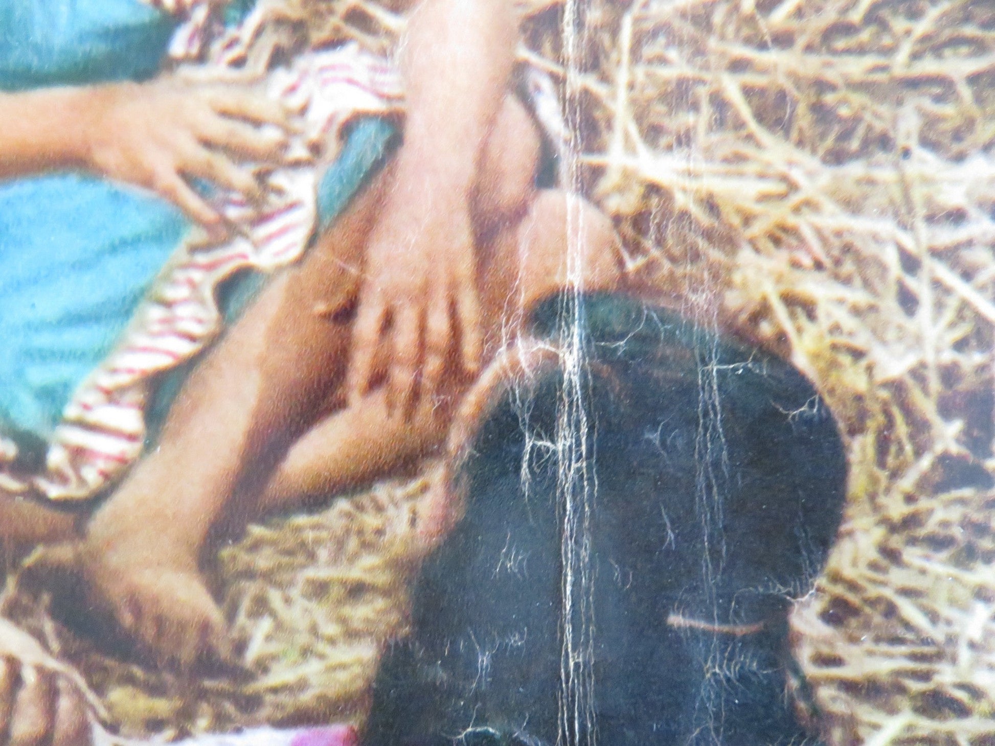 KISSIN' COUSINS - D ITALIAN FOTOBUSTA POSTER ELVIS PRESLEY ARTHUR O'CONNELL 1964 Rendezvous Cinema Movie posters