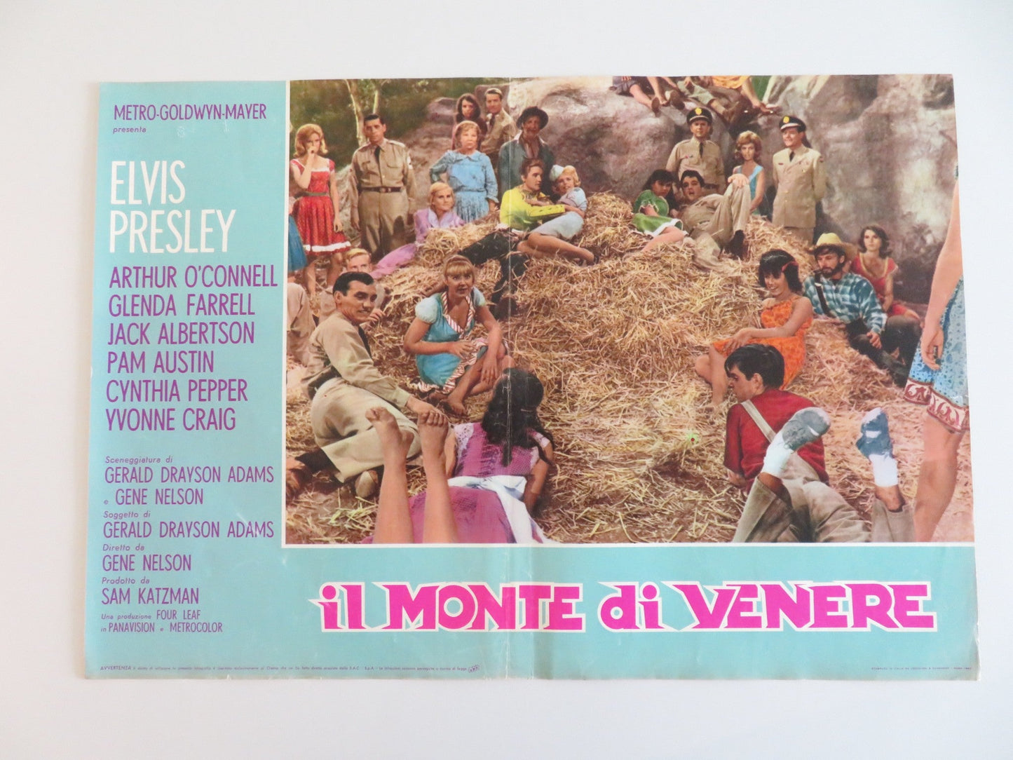 KISSIN' COUSINS - D ITALIAN FOTOBUSTA POSTER ELVIS PRESLEY ARTHUR O'CONNELL 1964 Rendezvous Cinema Movie posters