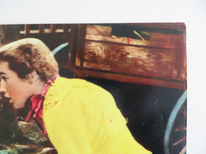 KISSIN' COUSINS - E ITALIAN FOTOBUSTA POSTER ELVIS PRESLEY ARTHUR O'CONNELL 1964 Rendezvous Cinema Movie posters