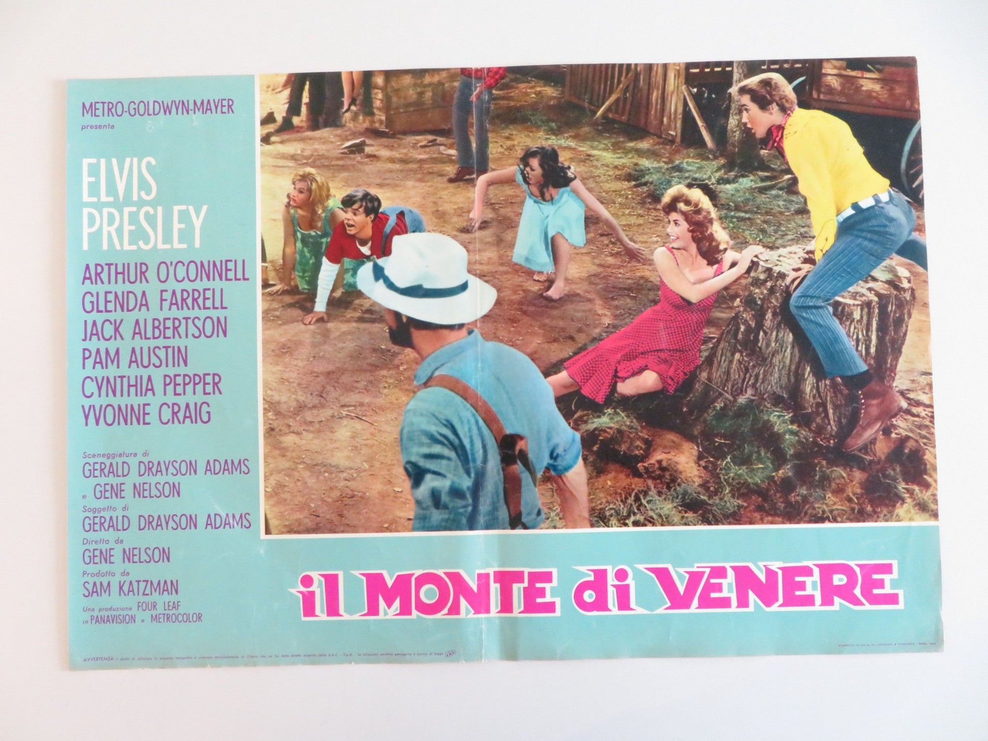 KISSIN' COUSINS - E ITALIAN FOTOBUSTA POSTER ELVIS PRESLEY ARTHUR O'CONNELL 1964 Rendezvous Cinema Movie posters