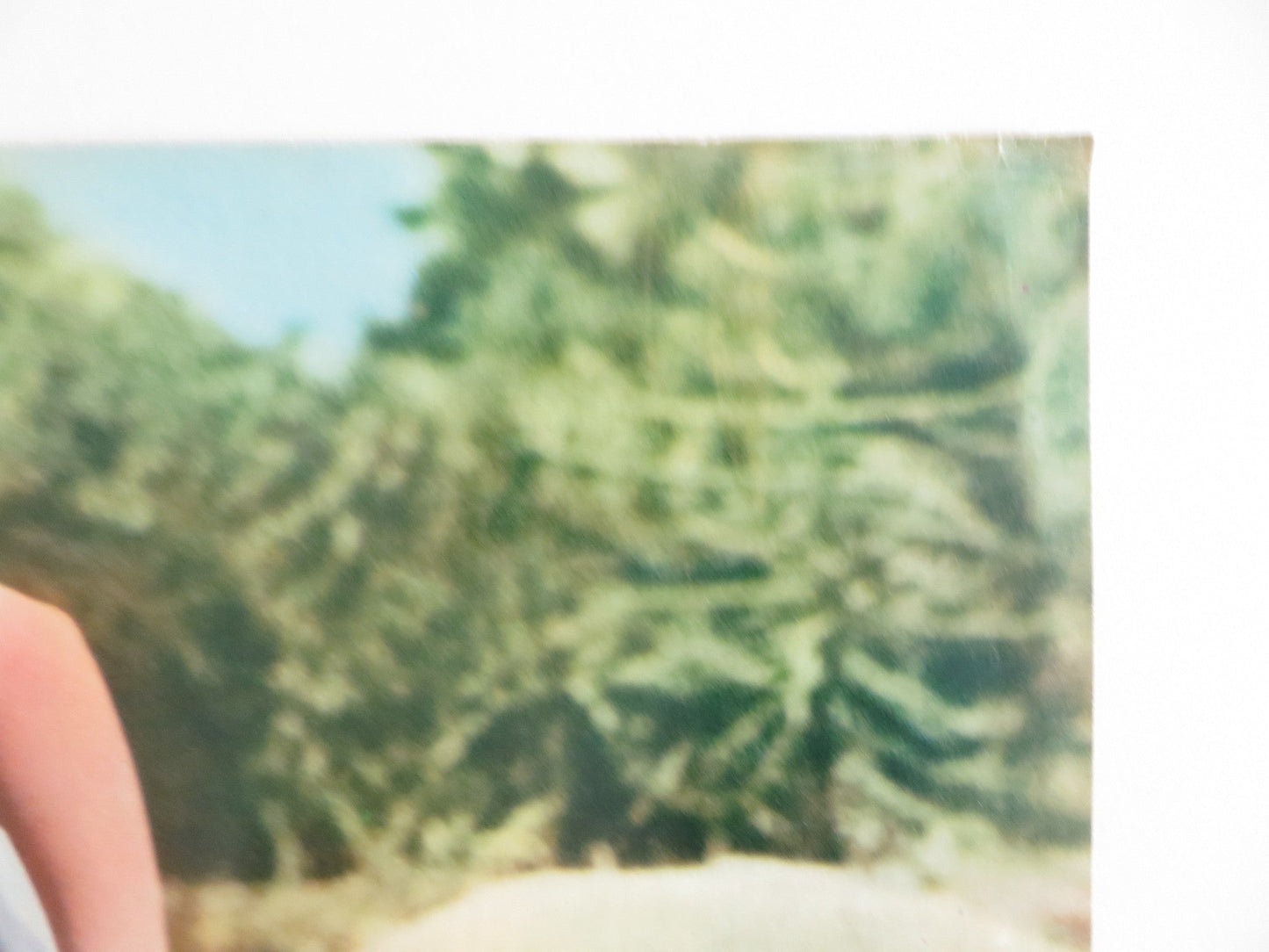 KISSIN' COUSINS - F ITALIAN FOTOBUSTA POSTER ELVIS PRESLEY ARTHUR O'CONNELL 1964 Rendezvous Cinema Movie posters