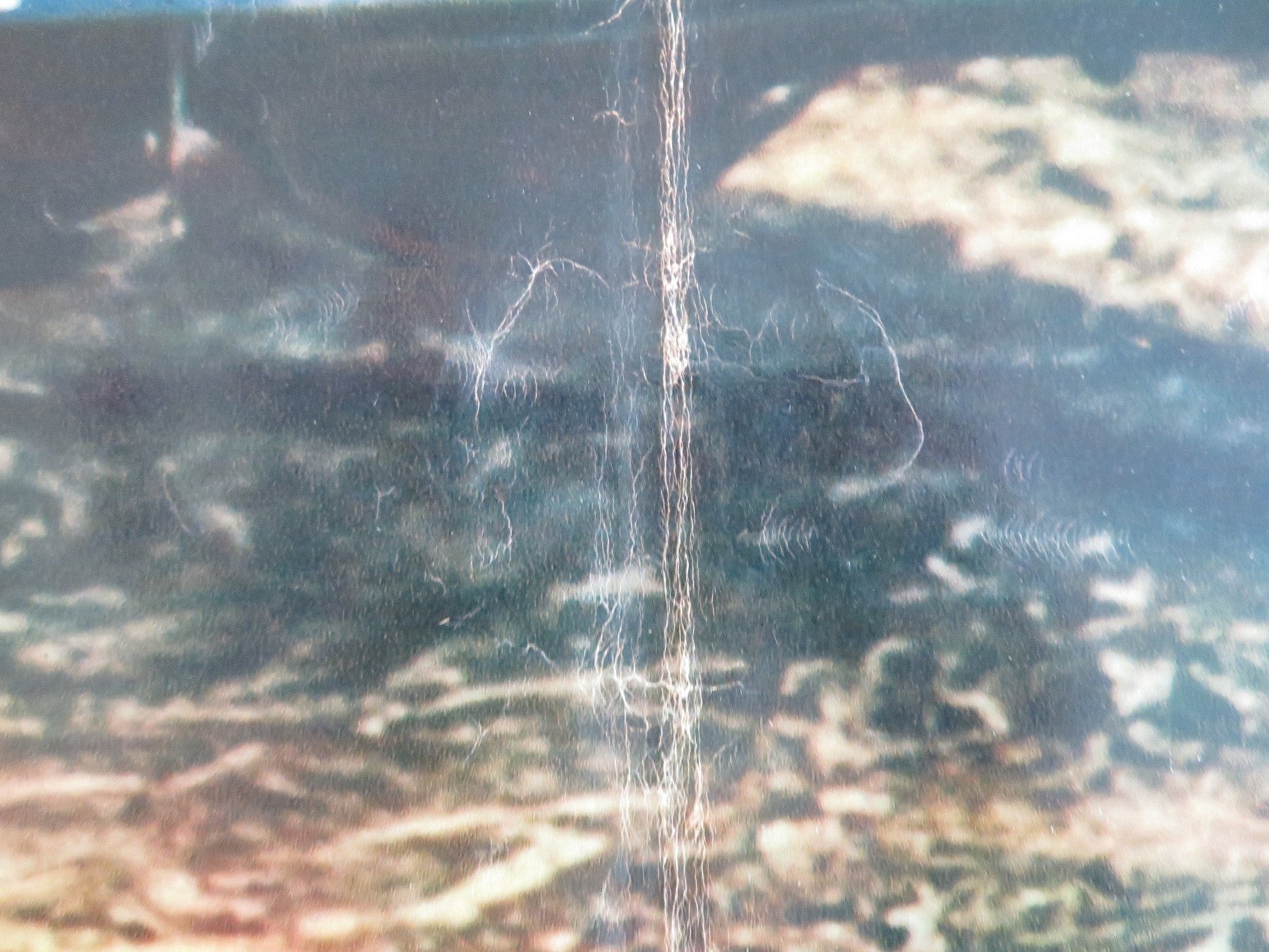 KISSIN' COUSINS - F ITALIAN FOTOBUSTA POSTER ELVIS PRESLEY ARTHUR O'CONNELL 1964 Rendezvous Cinema Movie posters