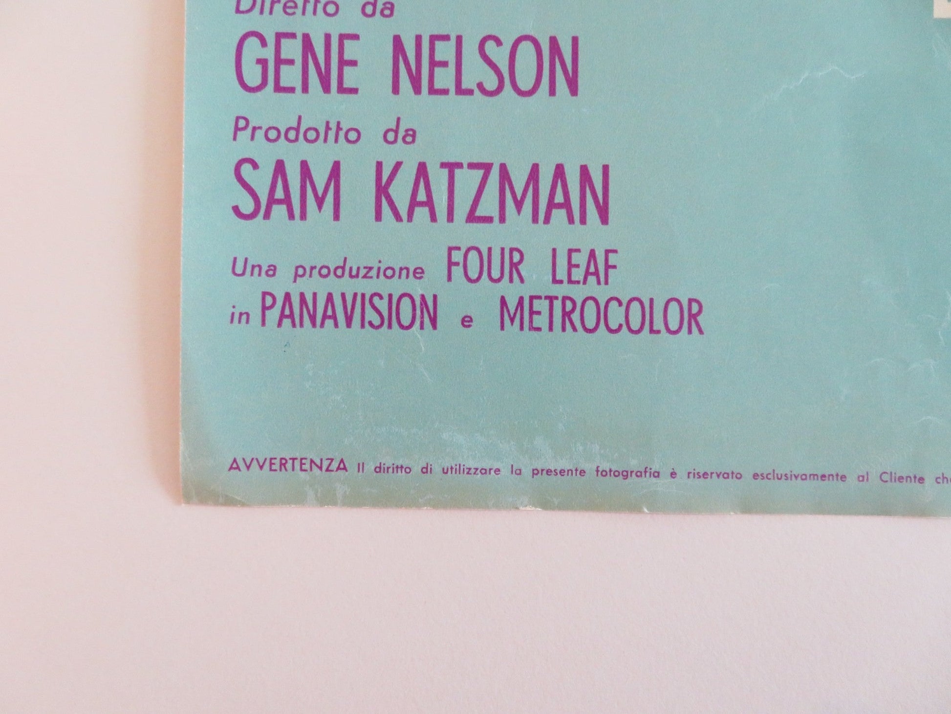 KISSIN' COUSINS - F ITALIAN FOTOBUSTA POSTER ELVIS PRESLEY ARTHUR O'CONNELL 1964 Rendezvous Cinema Movie posters