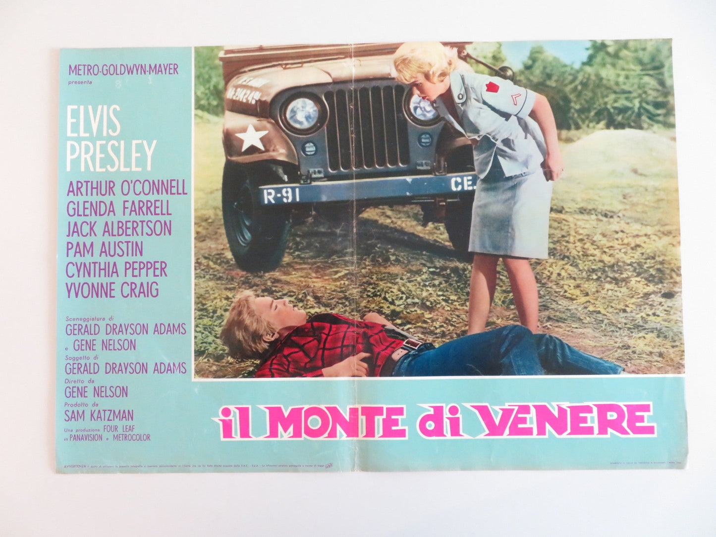 KISSIN' COUSINS - F ITALIAN FOTOBUSTA POSTER ELVIS PRESLEY ARTHUR O'CONNELL 1964 Rendezvous Cinema Movie posters