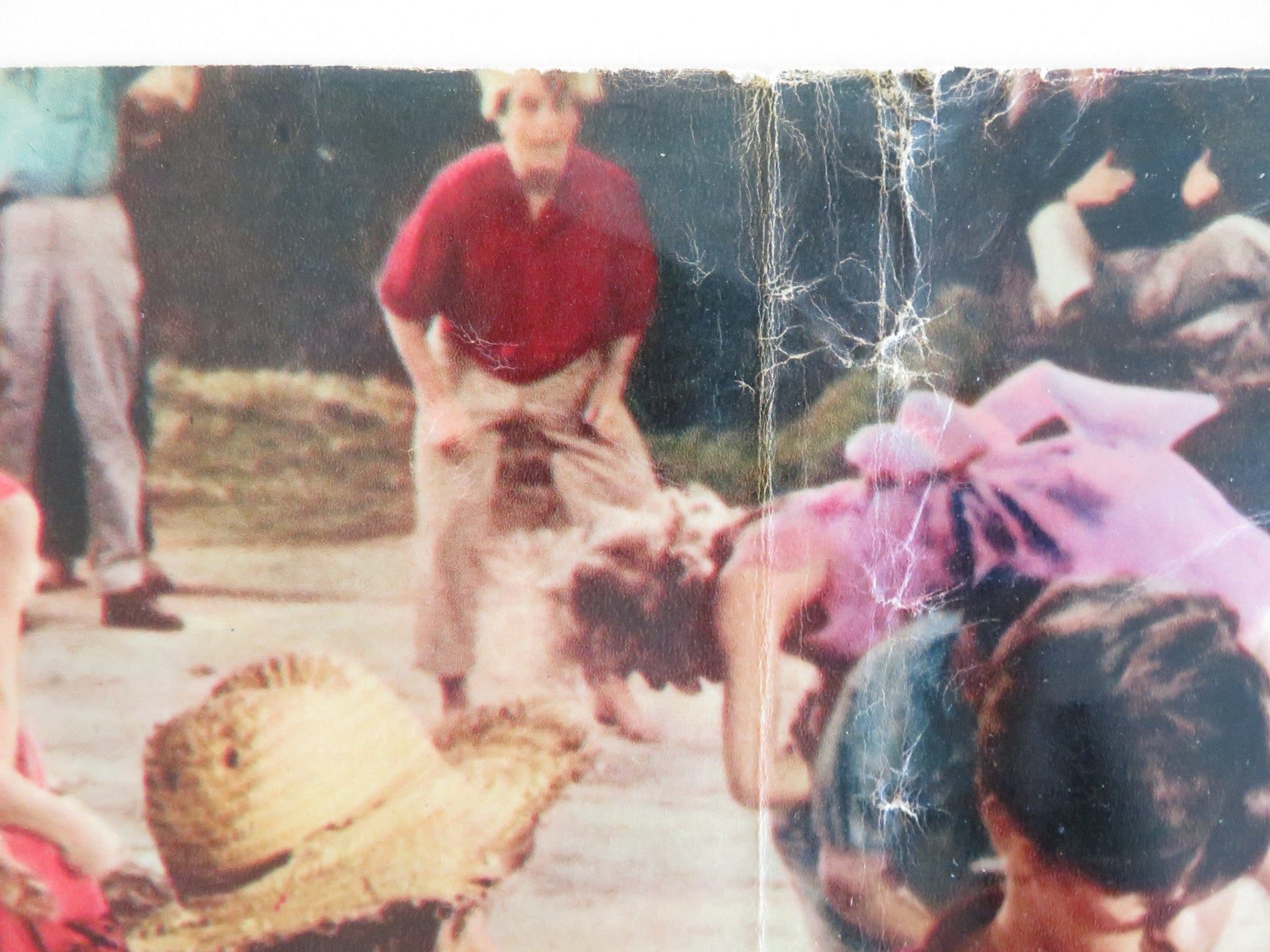 KISSIN' COUSINS - G ITALIAN FOTOBUSTA POSTER ELVIS PRESLEY ARTHUR O'CONNELL 1964 Rendezvous Cinema Movie posters