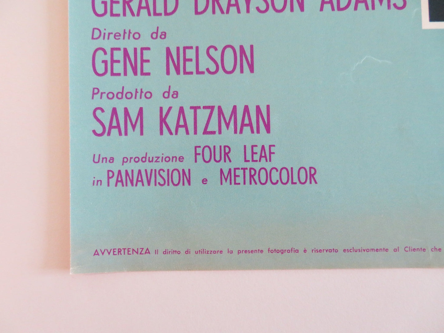 KISSIN' COUSINS - G ITALIAN FOTOBUSTA POSTER ELVIS PRESLEY ARTHUR O'CONNELL 1964 Rendezvous Cinema Movie posters