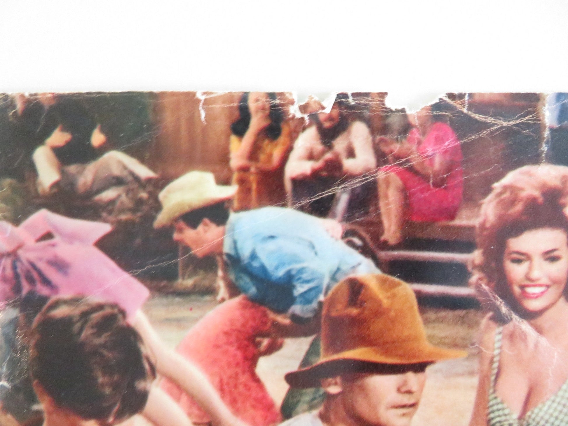 KISSIN' COUSINS - G ITALIAN FOTOBUSTA POSTER ELVIS PRESLEY ARTHUR O'CONNELL 1964 Rendezvous Cinema Movie posters