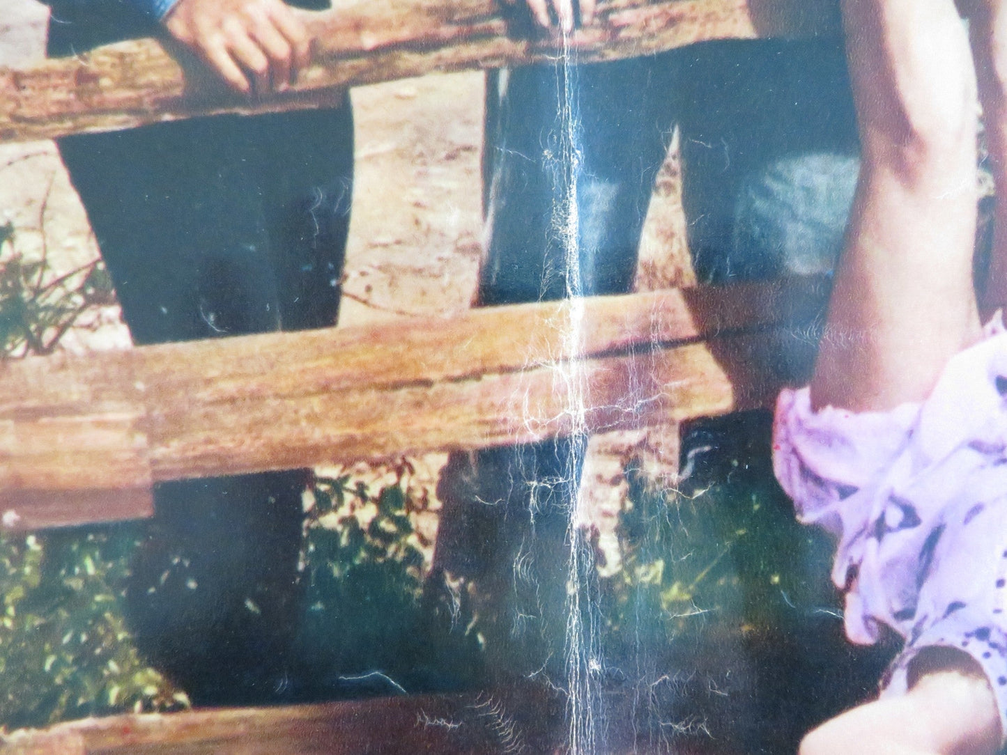 KISSIN' COUSINS - G ITALIAN FOTOBUSTA POSTER ELVIS PRESLEY ARTHUR O'CONNELL 1964 Rendezvous Cinema Movie posters