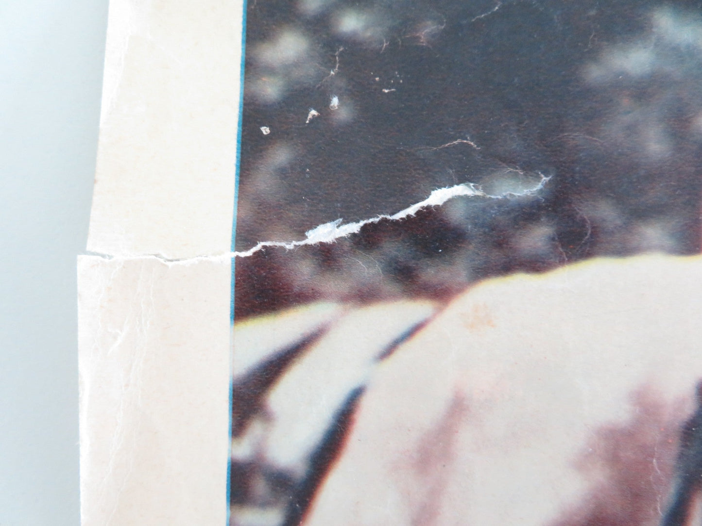 KNIGHT OF 100 FACES ITALIAN FOTOBUSTA POSTER LEX BARKER LIANA ORFEI 1960 Movie posters