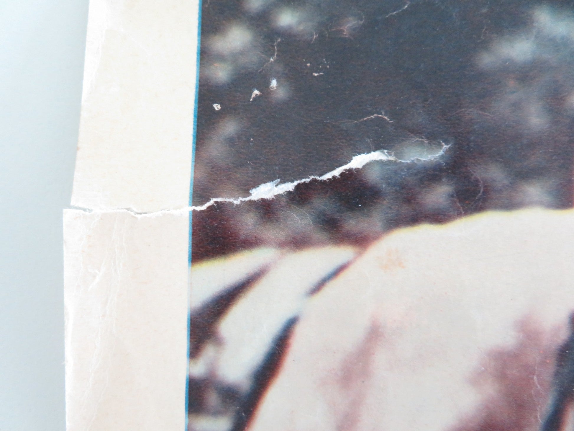 KNIGHT OF 100 FACES ITALIAN FOTOBUSTA POSTER LEX BARKER LIANA ORFEI 1960 Movie posters