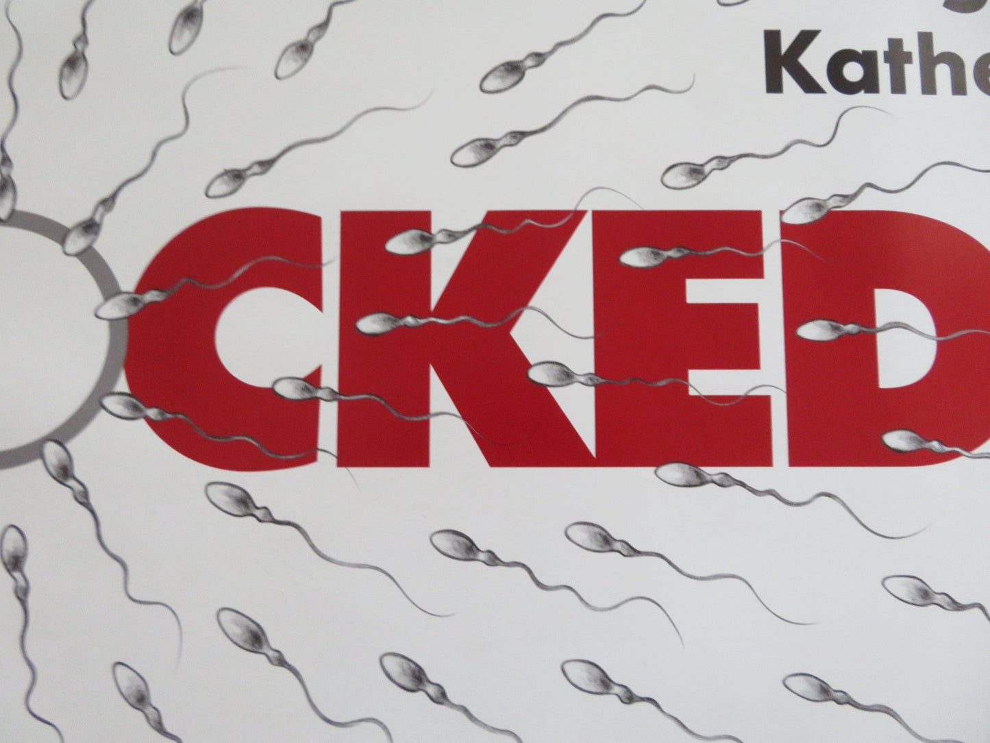 KNOCKED UP - B UK QUAD ROLLED POSTER SETH ROGEN KATHERINE HEIGL 2007 Rendezvous Cinema Movie posters