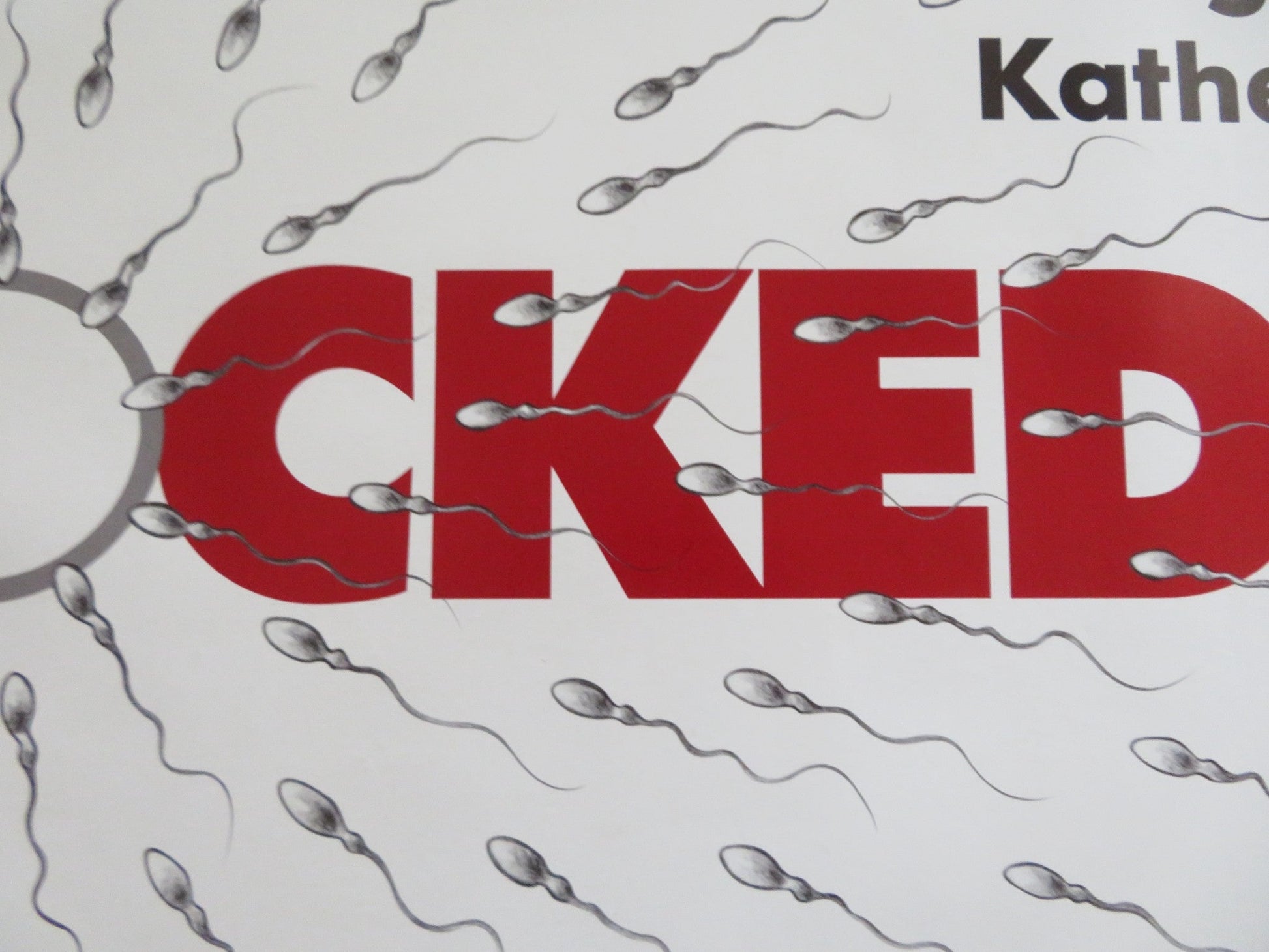 KNOCKED UP - B UK QUAD ROLLED POSTER SETH ROGEN KATHERINE HEIGL 2007 Rendezvous Cinema Movie posters