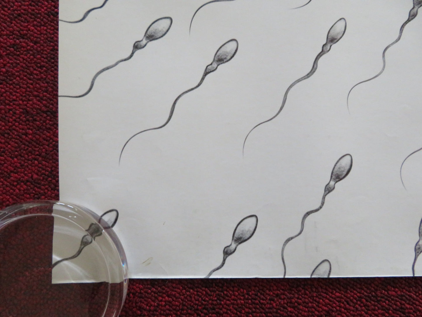 KNOCKED UP - B UK QUAD ROLLED POSTER SETH ROGEN KATHERINE HEIGL 2007 Rendezvous Cinema Movie posters