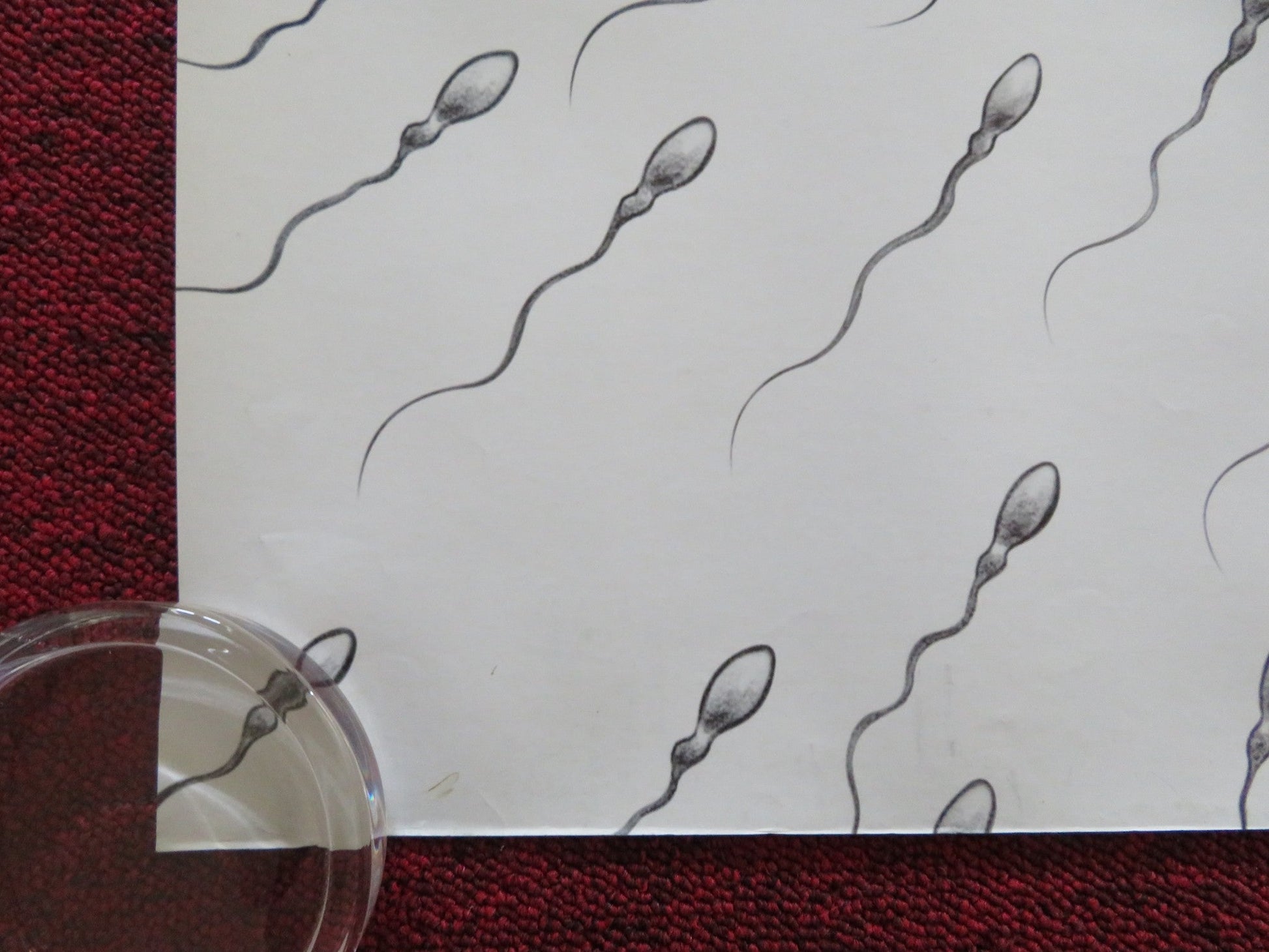 KNOCKED UP - B UK QUAD ROLLED POSTER SETH ROGEN KATHERINE HEIGL 2007 Rendezvous Cinema Movie posters